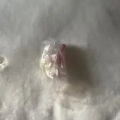 SKZOO めじるしアクセサリー トゥェッキ