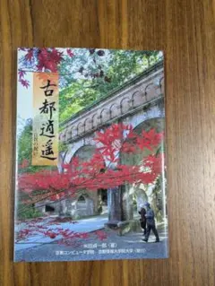 Item thumbnail for item eb5318dd-5237-4ad5-99df-6facb542618f