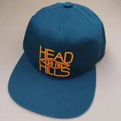 THE NORTH FACE キャップ　廃盤文字