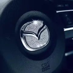 Item thumbnail for item 9a583d79-46e6-464f-bcf4-afe696f7f940