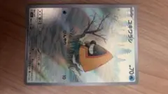 ユキワラシ