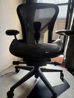 アーロンチェア リマスタード Bサイズ 2022年購入