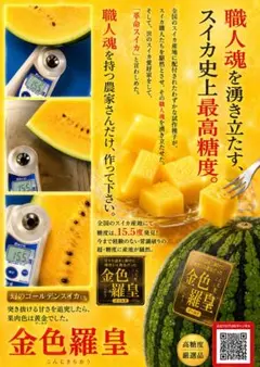2玉 お得！金色羅王 幻の黄金スイカ 糖度15度以上 - メルカリ