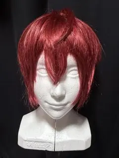 リドル&デュース　ウィッグ デュース・スペード(ツイステッドワンダーランド) | コスプレ商品一覧