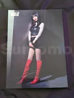 TWICE BDZ ラントレ モモ