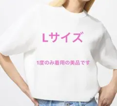 【美品】ユニクロ ウォッシャブルミラノリブセーター（半袖） ホワイト L