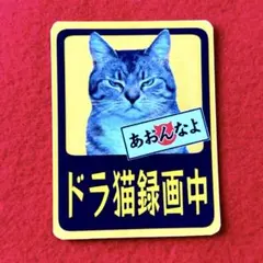 ドラ猫録画中　パロディ　防犯　ステッカー　デコトラ　レトロ　旧車会