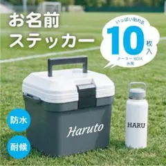 ハルヒナニコ様　専用　お名前シール