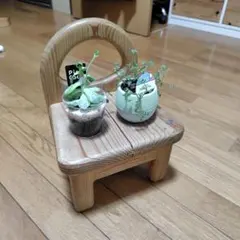 観葉植物シェルフ