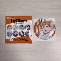 ハイキュー!! くじラック T賞 ちょいデカ缶バッジ 日向翔陽