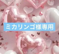 ミカリンゴ様専用☺︎