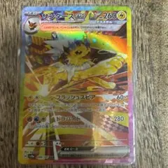 そら島太郎さま専用ページ エーフィ＆サンダースex