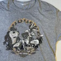【HARLEY-DAVIDSON】ルーニーテューンズ 両面Tシャツ グレー