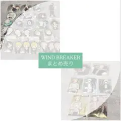 【33点セット】WINDBREAKER まとめ売り 缶バッジ ラバーキーホルダー