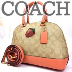 ✨希少・良品✨ COACH ハンドバッグ ショルダーバッグ 2way イチゴ