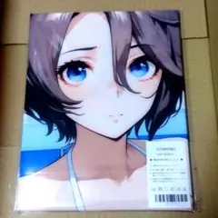 100×50cm　ナリタタイシン　ウマ娘　抱き枕カバー　2way
