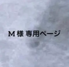 M様専用ページ