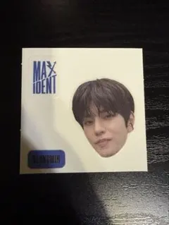 シール straykids スンミン 公式