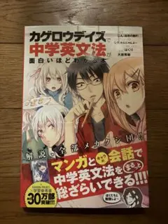 「カゲロウデイズ」で中学英文法が面白いほどわかる本