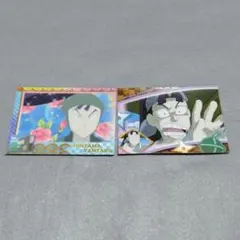 忍たま トレカ 仙蔵・厳禁