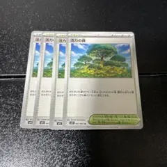 ポケモンカードゲーム スタジアム トレーナーズ 活力の森 4枚セット