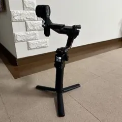 Item thumbnail for item 745bfab0-23f0-4566-aa68-070daed2f3d5