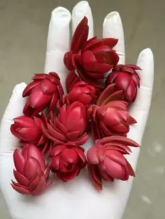 レインボー様 リクエスト 2点 まとめ商品