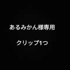 専用商品　説明欄ご確認ください