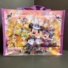 ✨入手困難✨ 美品 ディズニーリゾート 2016 ハロウィン 15周年