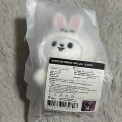 ジュルミ リノ Lee Know straykids バックチャーム メンプロ リノ ジュルミ メンプロ バッグチャーム ポップアップ スキズ