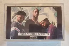 Item thumbnail for item ee0477a2-3fa6-419d-92cd-3af0444a78f6