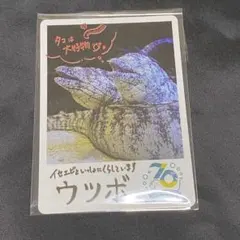 激レア⭐️鳥羽水族館の生きものたち（生き物の物語を繋いで70周年）⭐️レアカード 激レア⭐️鳥羽水族館の生きものたち（生き物の物語を繋いで70周年）