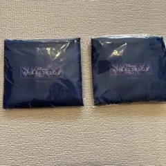 Disney AMBASSADOR ホテル　エコバッグ 2個セット