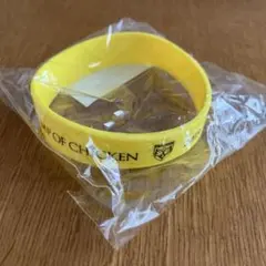 BUMP OF CHICKEN ラバーバンド 2019