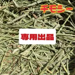 【最上級グレード】チモシー5kg☆スーパープレミアム☆1番刈り☆US産のサムネイル