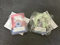 （出品本日まで‼️）スンスン アクリルカラビナ