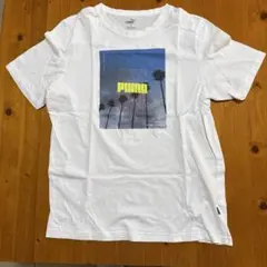 PUMA フォトプリント Tシャツ ホワイト　半袖　新品未使用