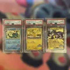 ポケモン　PSA10 ピカチュウ　イラストレーションコンテスト　2024 連番