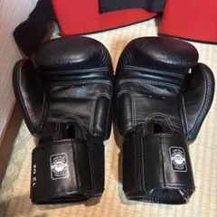 ボクシング ミット スティック セット TITLE 初心者向け 自宅