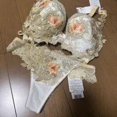 ワコール サルート 92G火の鳥 ブラ&ショーツ セットアップE65 Mサイズ ワコール サルート 92G火の鳥 ブラ&ショーツ セットアップE65 Mサイズ