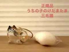 Item thumbnail for item 295e0f07-dd32-44f5-af58-906e0459222d