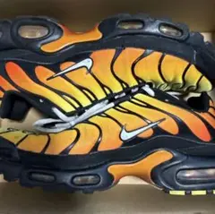 Nike Air Max Plus オレンジ/イエロー