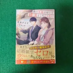 隣の先輩のせいで婚活どころじゃない 伊月ジュイ 小説 ベリーズ文庫