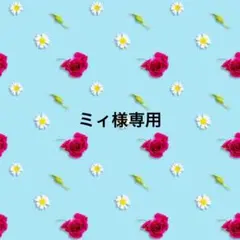 ミィ様専用