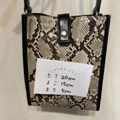 レイジブルー　ヘビ柄ショルダーバッグのサムネイル