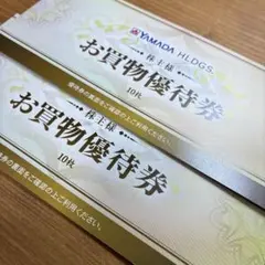 【匿名・送料無料】ヤマダ株主優待券お買物優待券10,000円分2026年6月末
