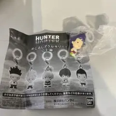 HUNTER×HUNTER めじるしアクセサリー G.I.編 ゴン - メルカリ