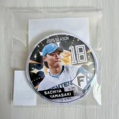 山﨑福也 スポーツ選手