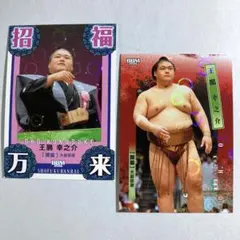 Item thumbnail for item f7d13fe1-1acb-4137-8eeb-0f1b73df18a8