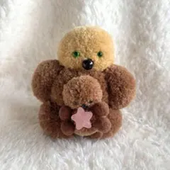 ラッコのおやこ⭐︎ヒトデ